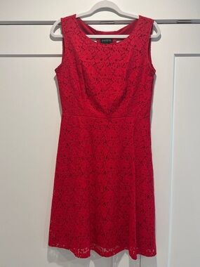 Enfocus Studio Red Lace Sleeveless Fit-and-Flare Mini Dress